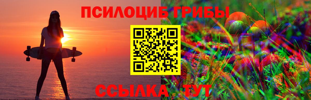 Псилоцибиновые грибы Psilocybine cubensis Новозыбков